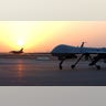 MQ-1 Predator