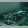 Predator X, on the Hunt
