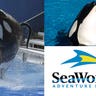 SeaWorld Killer Whale Attacks