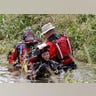 Search_Continues