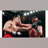 Sergio Martinez Knockout 3
