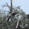 Tornadoes tear through central US