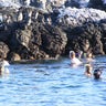 Snorkeling_with_Penguins_