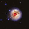 Star V838 Monocerotis 