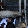 July 7th: Revelers are stepped over by Penajara ranch fighting bulls during the San Fermin festival on Wednesday in Pamplona, Spain.