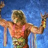 The Ultimate Warrior