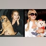 They_Have_a_Way_with_Dogs