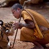 Monk Meets Tiger