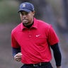 Tiger_Woods_Sex