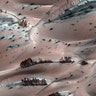 Trees on Mars?