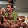 Tribbles