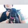 Ugly_Dog_2013___Rue