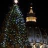 Vatican_Christmas_Tree__erika_garcia_foxnewslatino_com_22