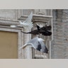 Vatican_Peace_Doves__erika_garcia_foxnewslatino_com_22