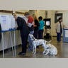 Voting37