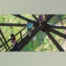 WV_Bridgewalk