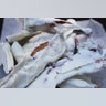 White_Chocolate_Bacon