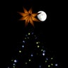 Vatican_Christmas_Tree__erika_garcia_foxnewslatino_com_23