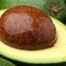 Avocados