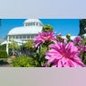 aboutphipps