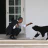 President Barack Obama Greets His Dog Bo Outside the Oval Office