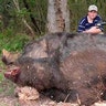 hogzilla 2 world's biggest pig