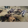 Taliban fighters dead