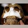Homo naledi is ready for its closeup