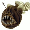 anglerfish_mating
