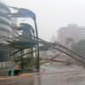 Recently planted palm trees lie strewn across the road as Hurricane Irma passes by Miami, Sunday