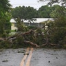A tree downed by Hurricane Irma blocks the road in Boynton Beach, Fla., Sunday