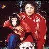 Michael Jackson's Chimpanzee