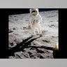 Apollo 11
