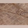 Arizona: Early Irrigators