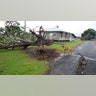 Australia Yasi Tree Damage