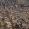 An aerial view of properties destroyed by the Tubbs Fire is seen in Santa Rosa, California, U.S., October 11