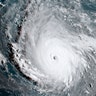 Irma