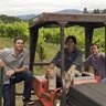 bachelor_envolvewinery