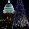 Capitol_Christmas_Tree_Lighting__erika_garcia_foxnewslatino_com_49