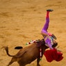 Bullfight_Jose_Tomas