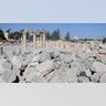 Palmyra5