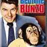 Bonzo the Chimp