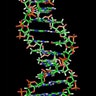 DNA_Helix