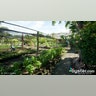 belize2