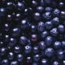 Blueberries