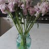 4. Painted Mason Jars