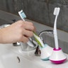 bobblebrush