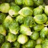 Brussels Sprouts