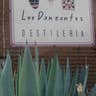 Flannery_Mezcal_Photos__6_