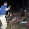 Firefighters Dig to Save Camel